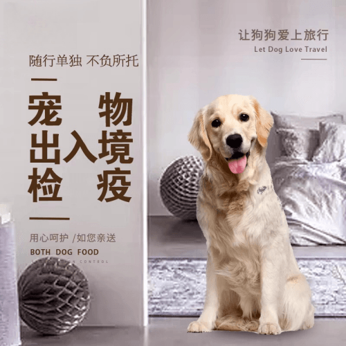 北辰区宠物托运到哥伦比亚猫狗宠物入境规定和