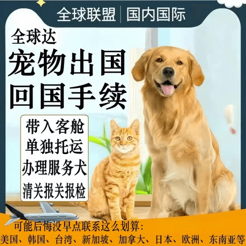 北辰区宠物托运到柬埔寨宠物入境规定和要求