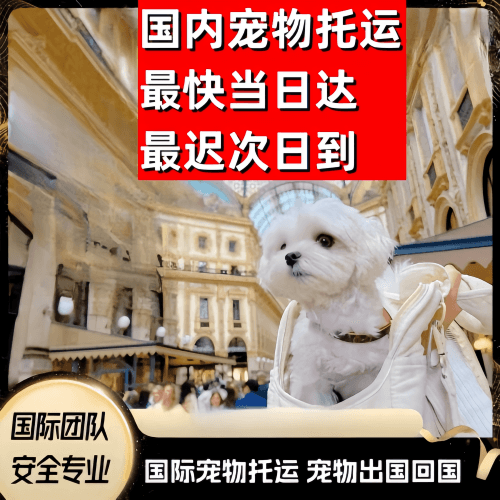 北辰区到澳大利亚（澳洲）宠物入境规定和要求